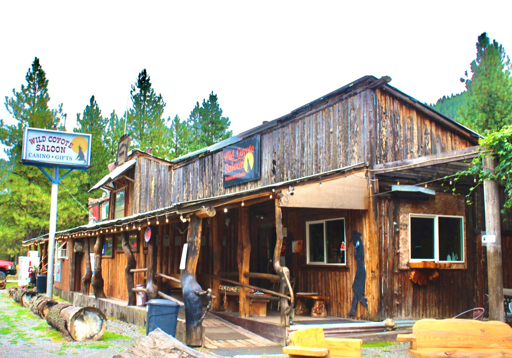 wild coyote saloon